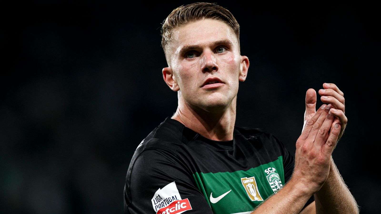 刺伤的不只 刺伤的不只